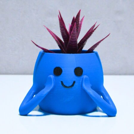 3d Neşeli Mini Saksı Mavi