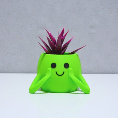 3D Neşeli Mini Saksı Açık Yeşil