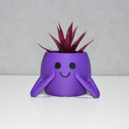 3D Neşeli Mini Saksı Mor