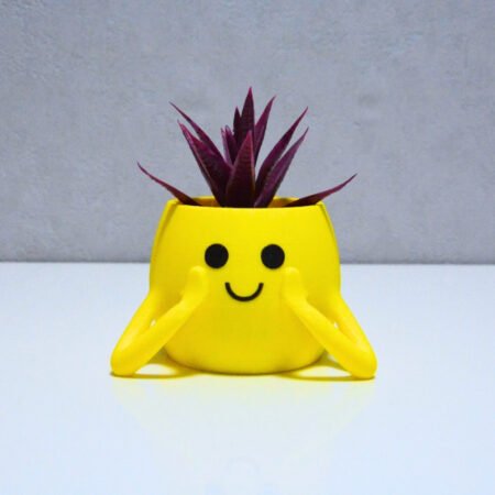 3D Neşeli Mini Saksı- Sarı