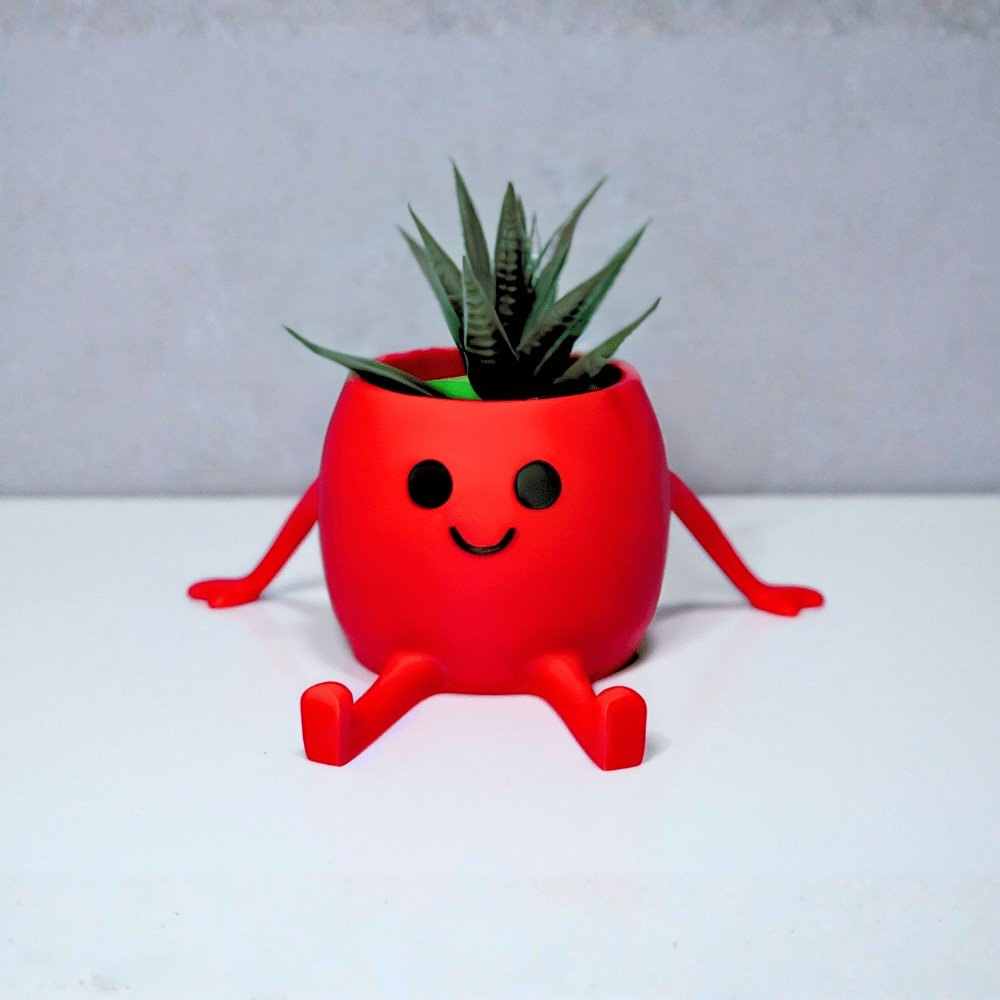 3D Oturan Mini Saksı – Kırmızı